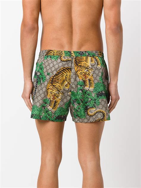 gucci mens swimming trunks|Gucci bengal swim shorts.